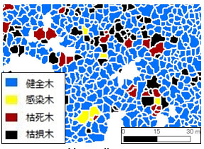 分解データ